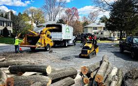 How Our Tree Care Process Works  in  Burleson, TX